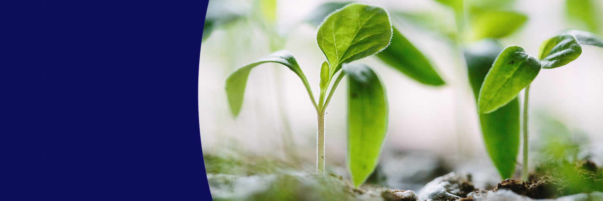 SLIDE ONE ~ URBAN AG