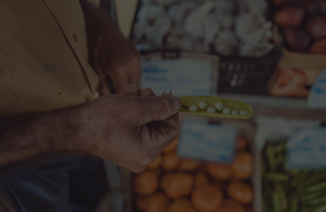 UPDATED PUBLICATIONS