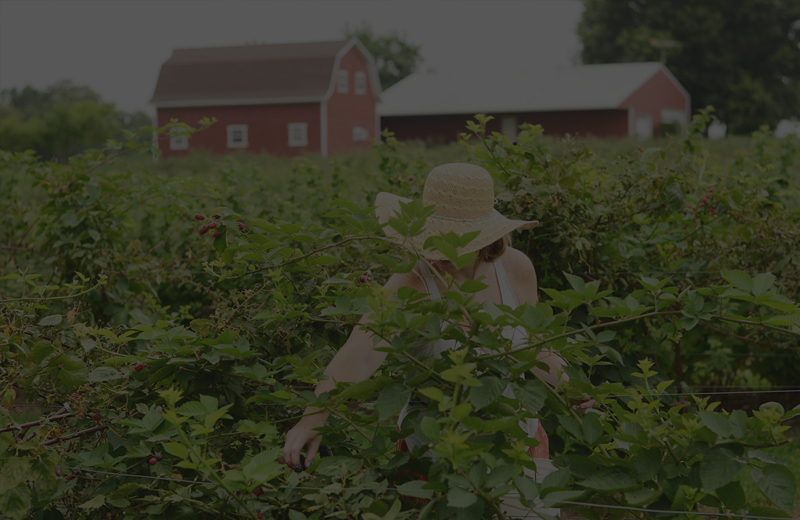 WEBINARS & OTHER VIDEO